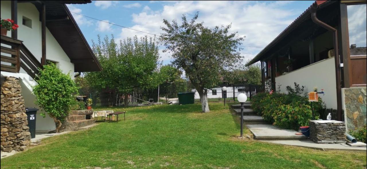 Casa De Vacanta Mirela Novaci-Straini Bagian luar foto