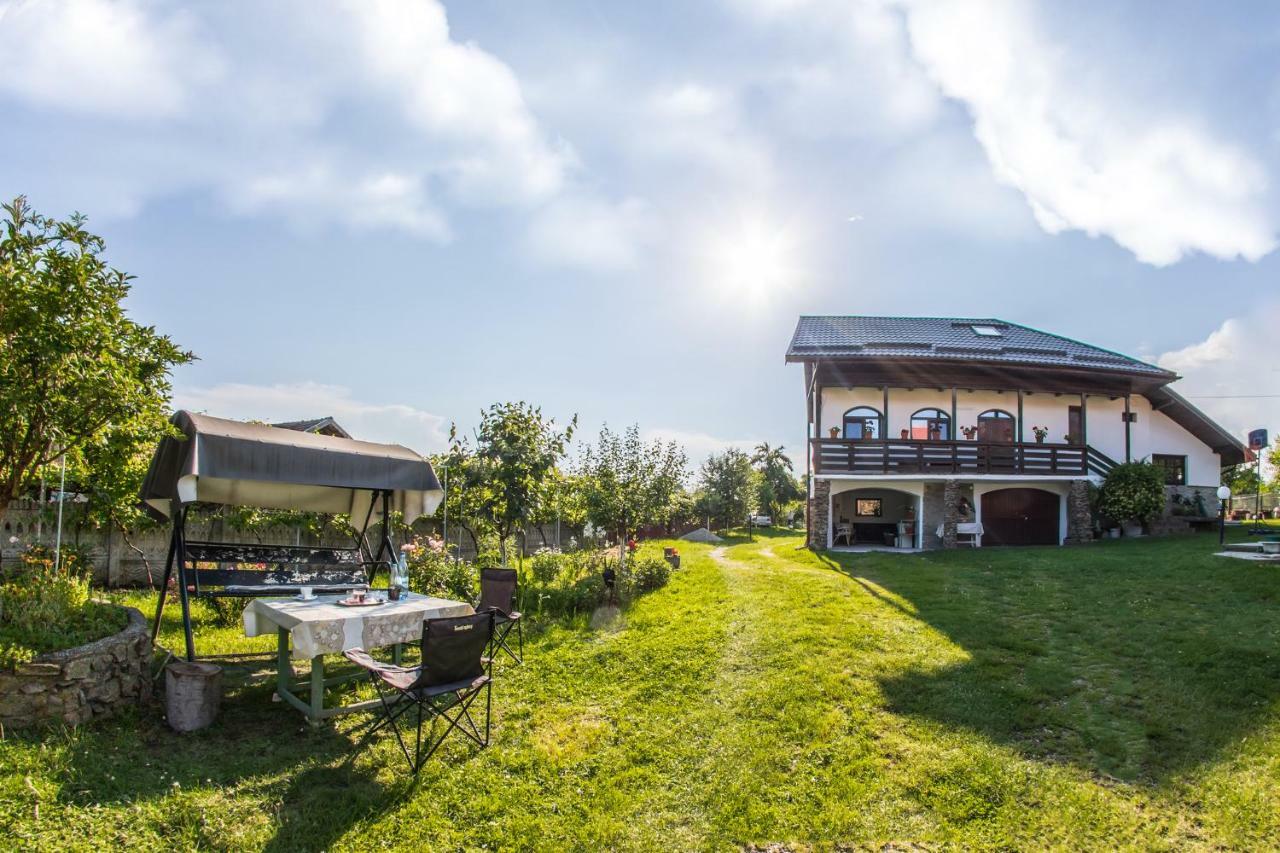 Casa De Vacanta Mirela Novaci-Straini Bagian luar foto